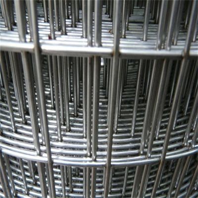 4ftx50ft Galvanizado Soldado Wire Mesh Personalizavel Aves de galinha Cage Wire Mesh