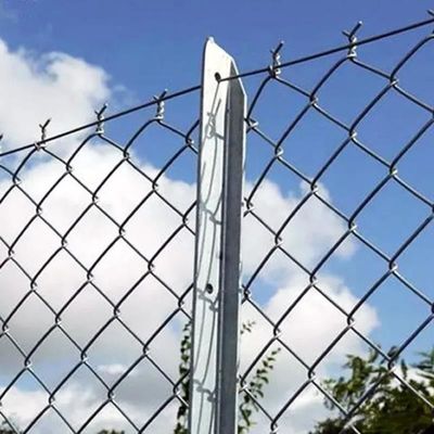 8ft de altura galvanizado Chain Link vedação zoológico rede de arame para todos os animais