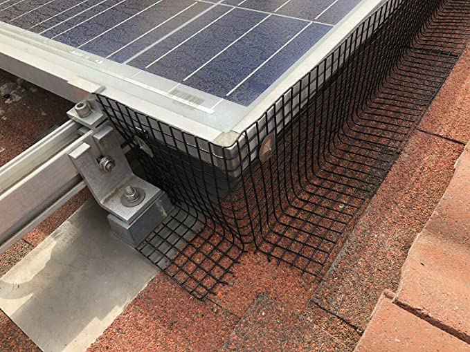 Fecho de arame galvanizado com revestimento de PVC preto 9