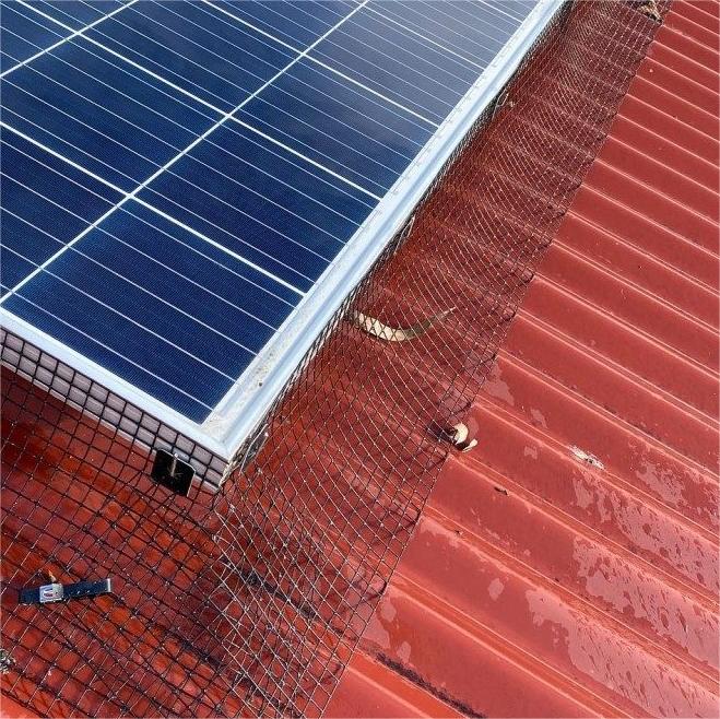 Fecho de arame galvanizado com revestimento de PVC preto 10